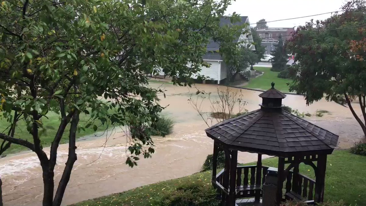 Flooding behind Salem City Hall and Roanoke College.