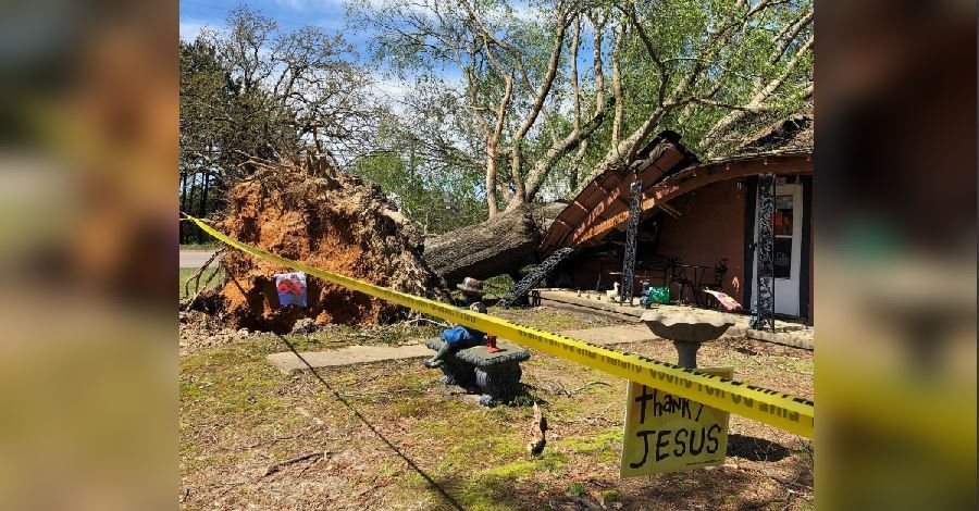 Grandmother killed after tree topples through home in small town of Victoria    