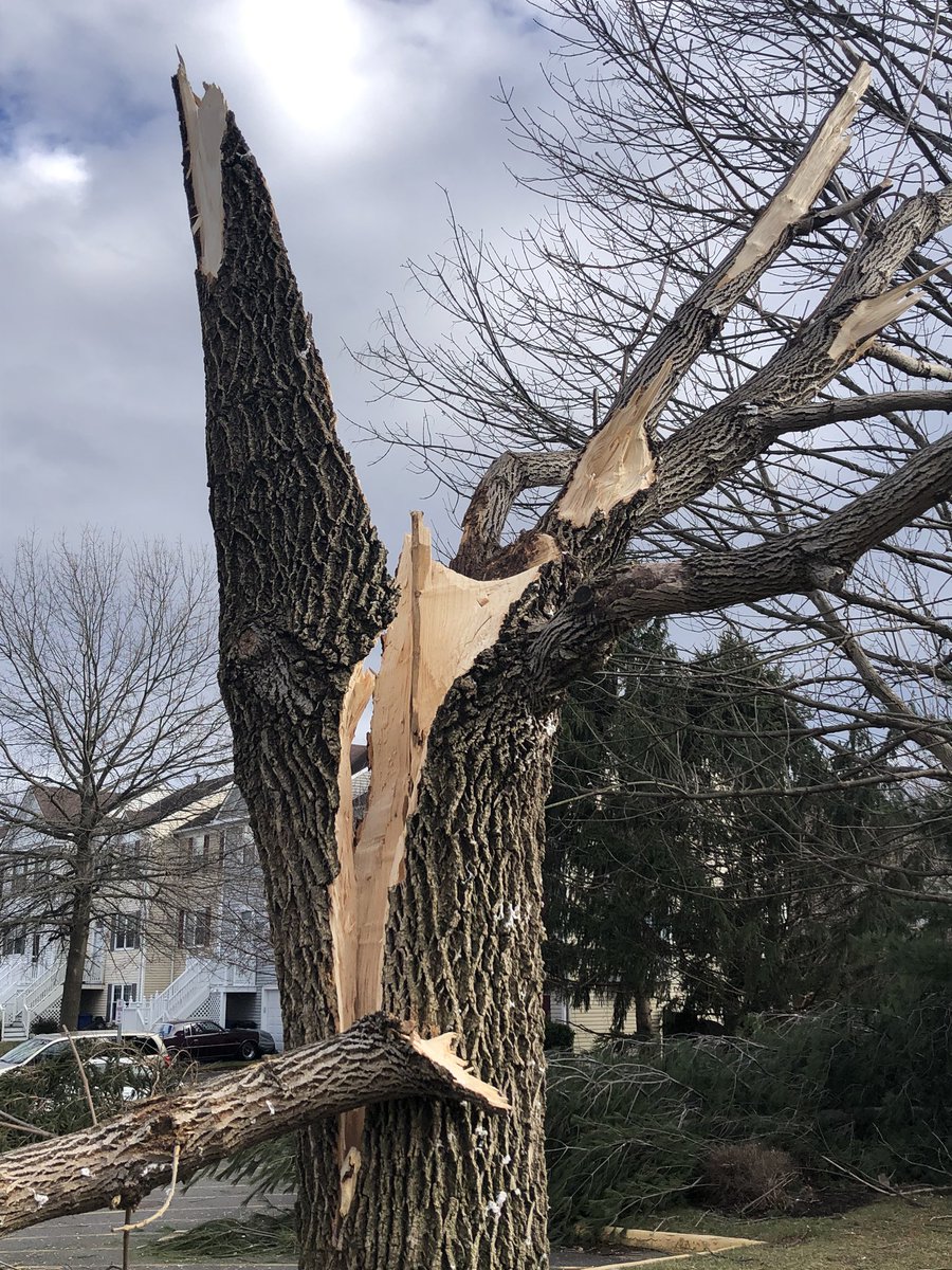 Incredible scenes of damage in Leesburg, Virginia after a possible tornado or straight line winds ripped through this neighborhood near Route 15 and Battlefield Parkway.  