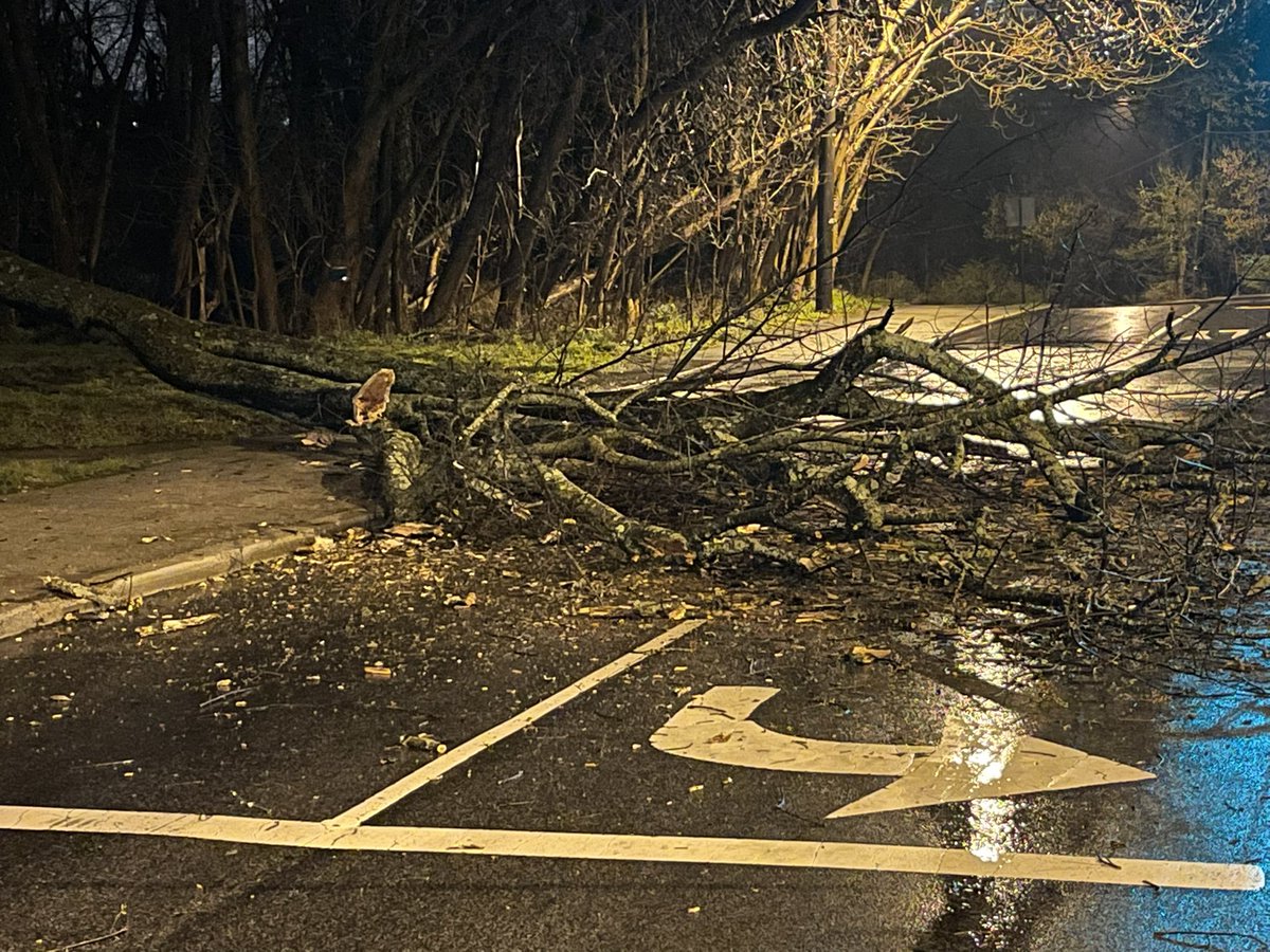 @DDOTDC @wusa9 @DCPoliceDept Tree down on 1400 block of Foxhall Rd at MacArthur. Two lanes blocked