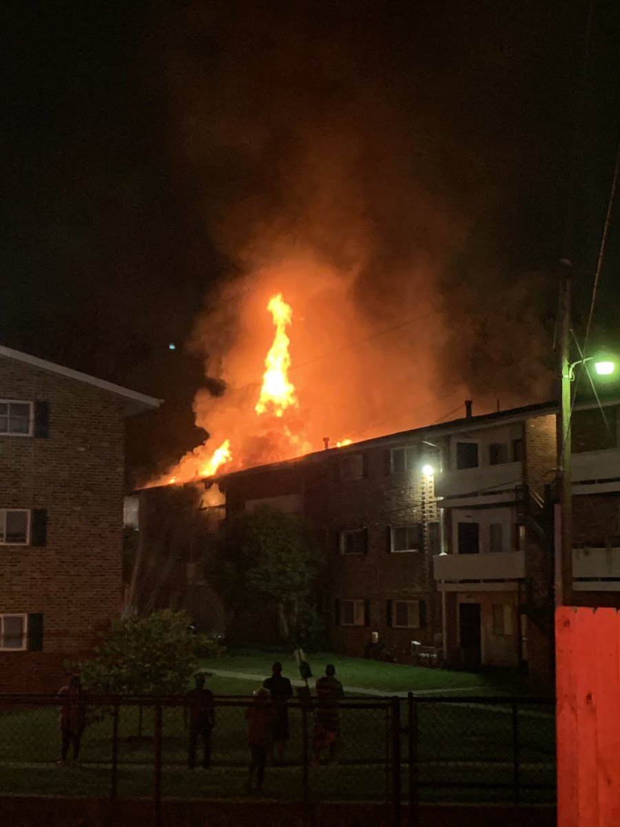 The fire did extend to the roofline. Crews worked to put out the fire and perform searches on all floors to check for any occupants. Truck Company 9 did remove a dog in a crate from the first floor. The dog did survive. All other occupants had exited safely