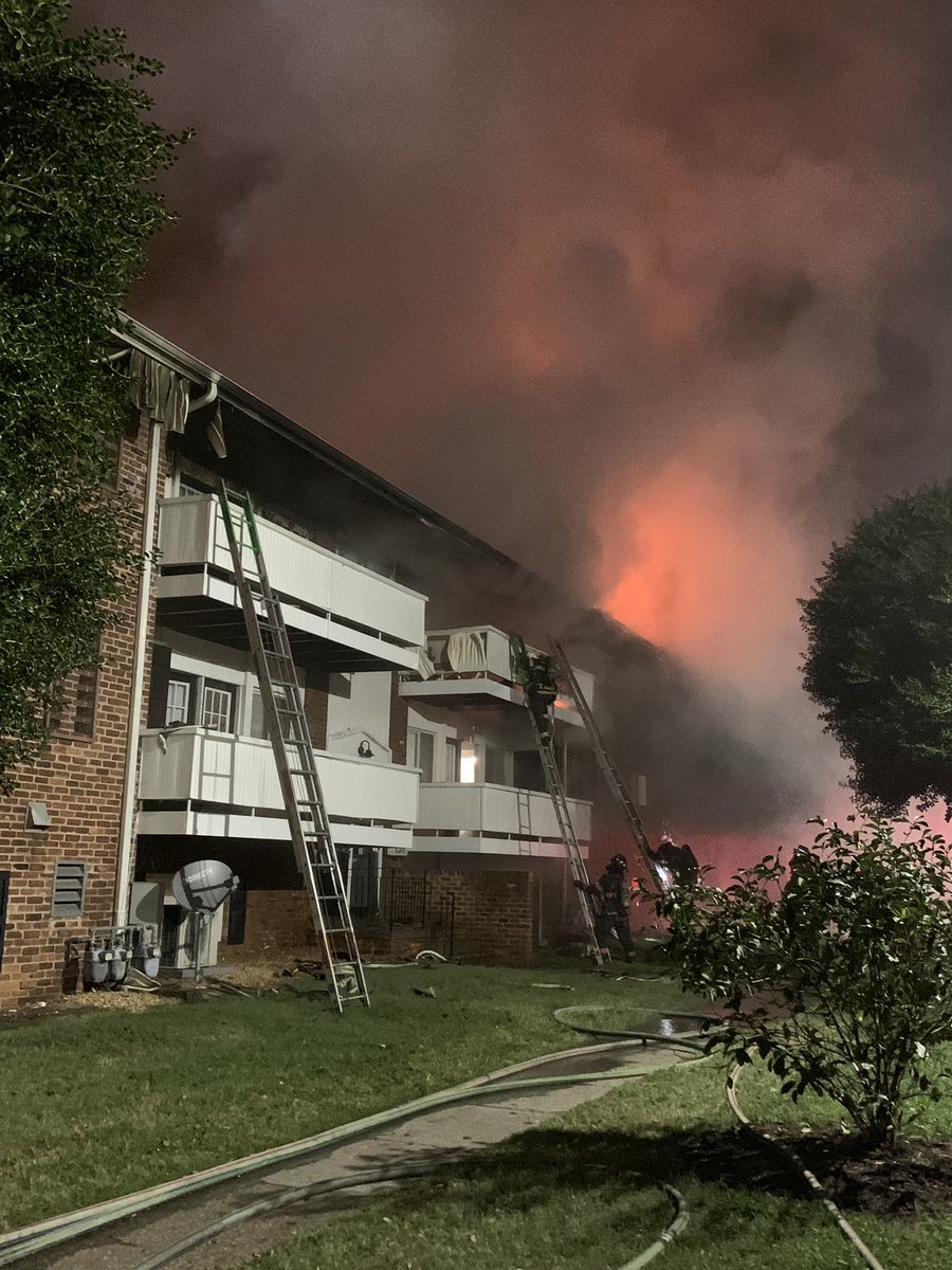 The fire did extend to the roofline. Crews worked to put out the fire and perform searches on all floors to check for any occupants. Truck Company 9 did remove a dog in a crate from the first floor. The dog did survive. All other occupants had exited safely