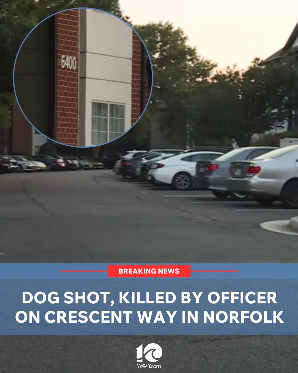 A dog was shot and killed by a Norfolk police officer while units were responding to an accidental self-inflicted gunshot wound in the 6400 block of Crescent Way